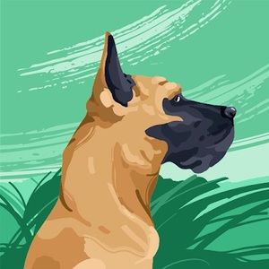 Meet your Posher, Joey